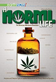 A Norml Life (2011)