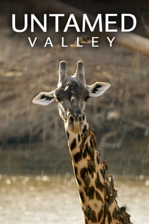 Untamed Valley (2017-)