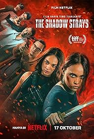 The Shadow Strays (2024)