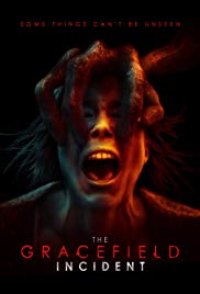 The Gracefield Incident (2017)