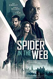 Spider in the Web (2019)