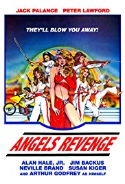 Angels Brigade (1979)